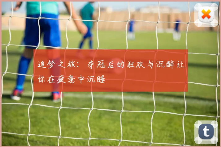 追梦之旅：夺冠后的狂欢与沉醉让你在疲惫中沉睡